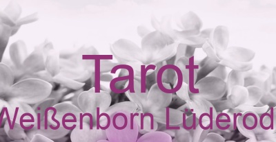 Tarot Weißenborn Lüderode | Top-Experten für Kartenlegen, Wahrsagen, Hellsehen, Zukunftsdeutung. Tarot Weißenborn Lüderode | Top-Experten für Kartenlegen, Wahrsagen, Hellsehen, Zukunftsdeutung.